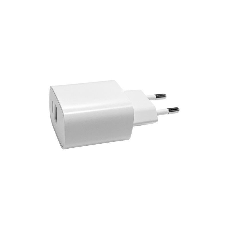 شارژر قابل حمل 12 ولت 1.67 آمپر USB C GaN شارژر سریع PD 20 وات قابل اعتماد