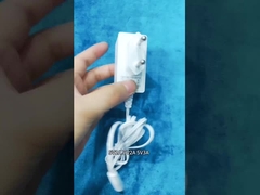 P1-100-240VAC Adaptori di alimentazione per uso industriale a montaggio murale Adaptore di alimentazione da 12 Volt