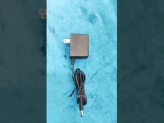 P3-24V 1A Unità di alimentazione a parete 0°C-40°C Temperatura di funzionamento 1 anno di garanzia