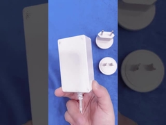 Adattatore intercambiabile di potere