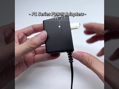 P1 Adaptatore di alimentazione a muro